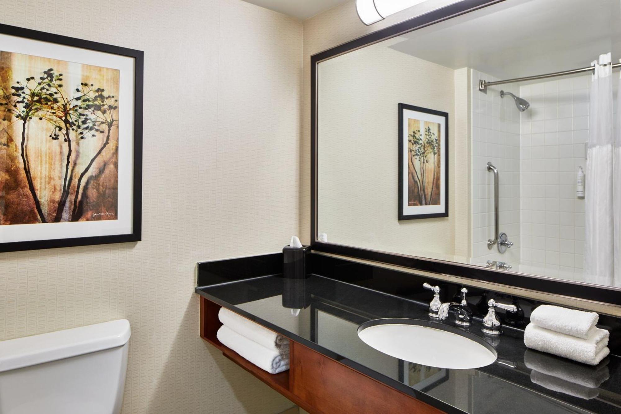 Detroit Metro Airport Marriott Hotel Romulus Buitenkant foto